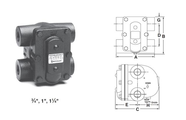 FT175H-4 | Float & Thermosatic Trap